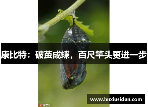 康比特：破茧成蝶，百尺竿头更进一步