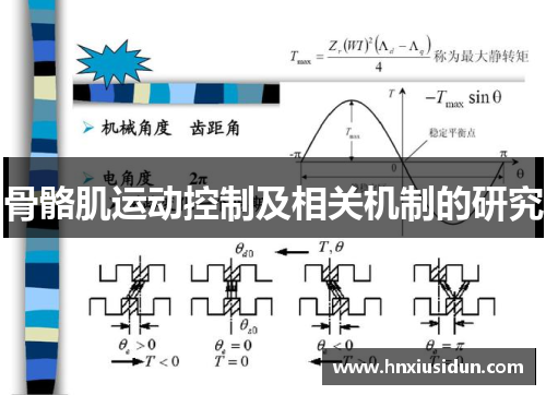 骨骼肌运动控制及相关机制的研究